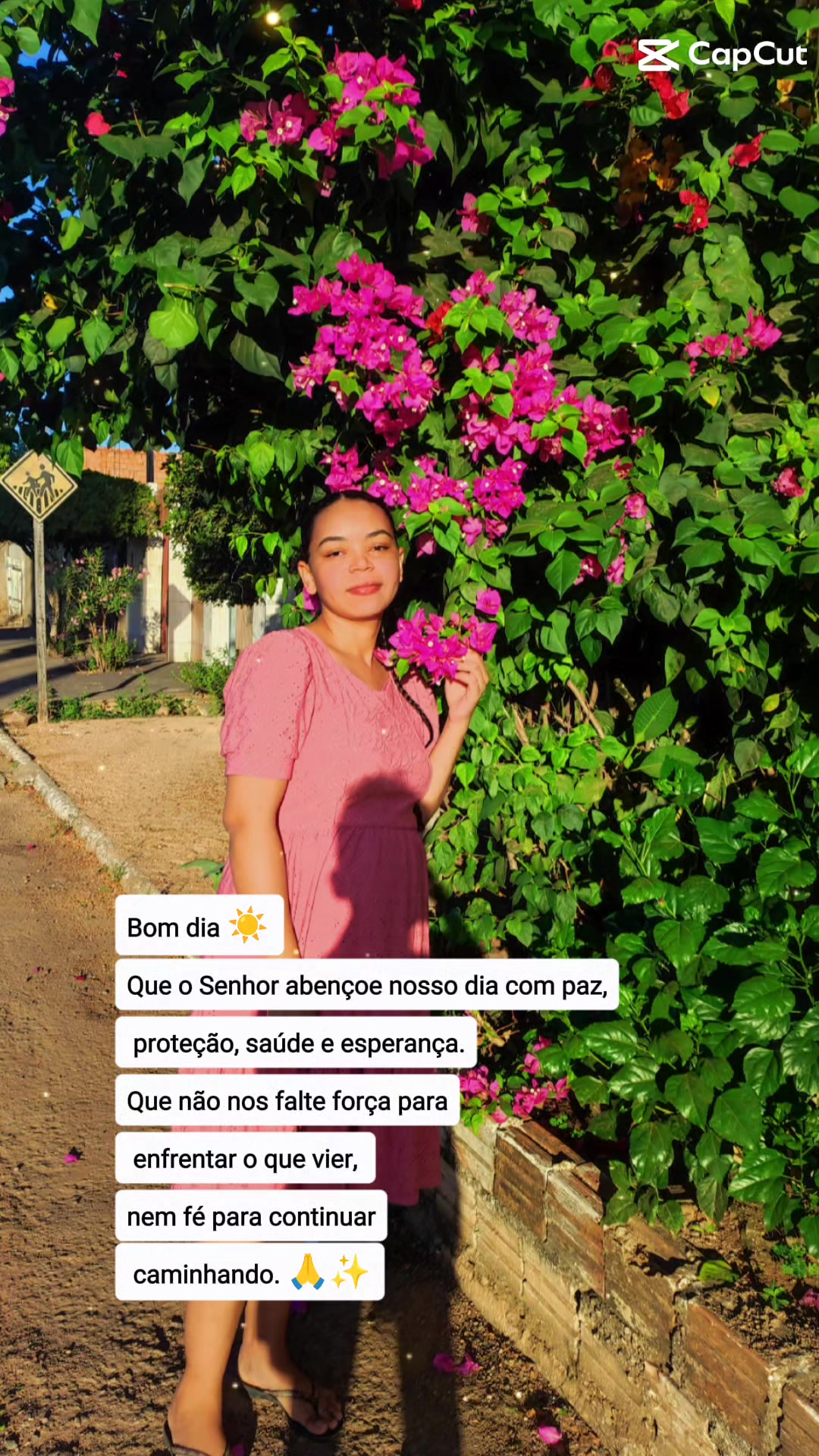 @🌺Rita🌺 🇧🇷paraense🇧🇷