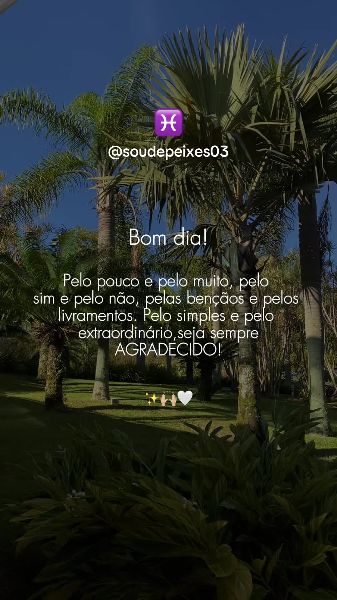 @soudepeixes