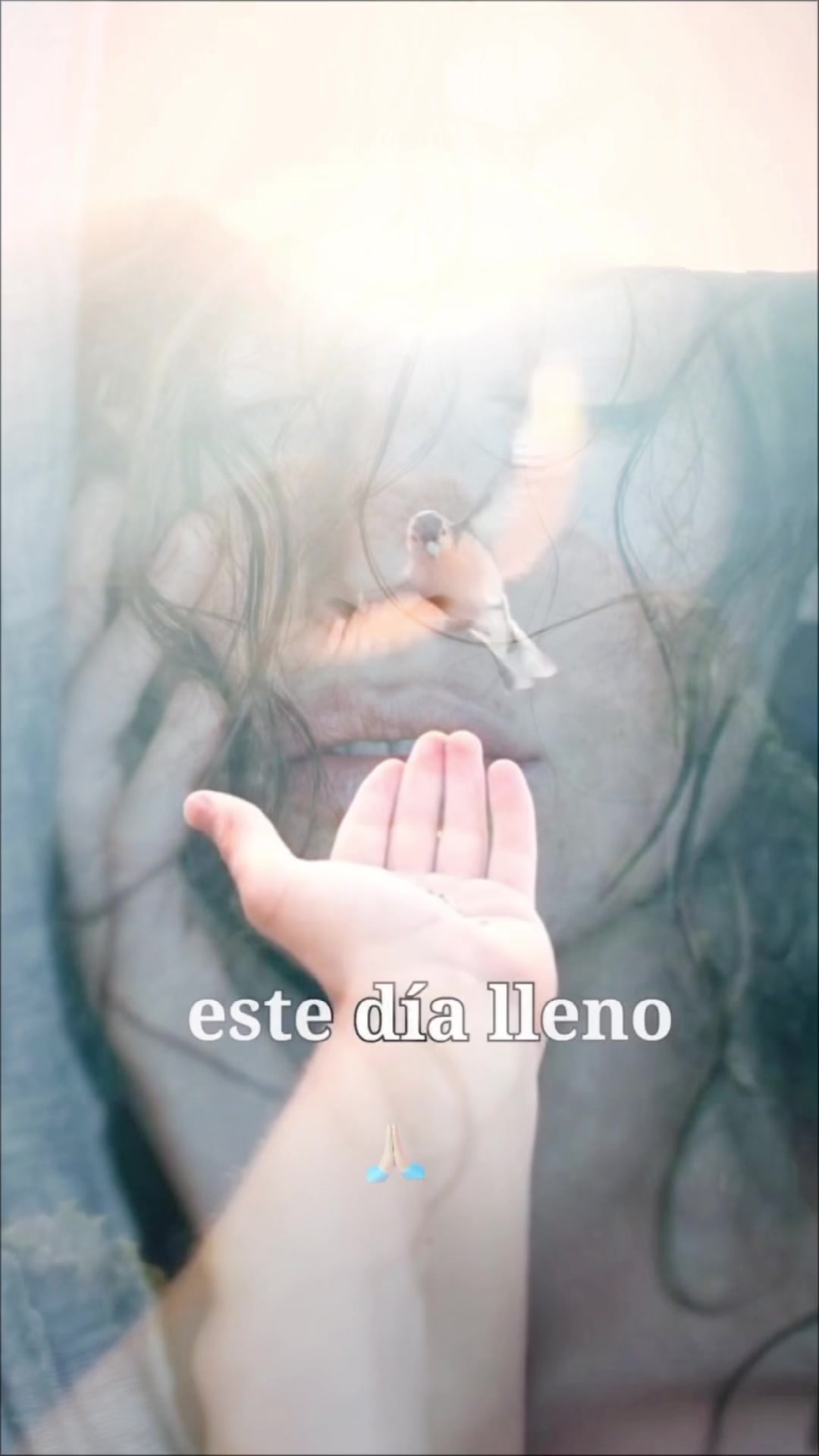 @Roxana