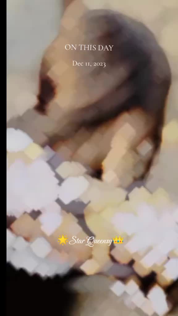 @๐๐น๐ Star queensy ๐๐น๐