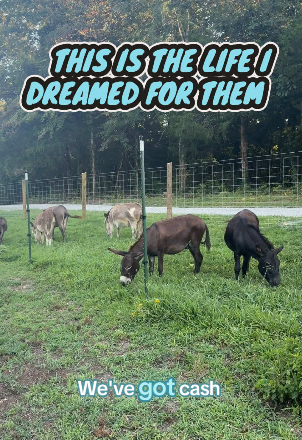 @Our Simple Homestead