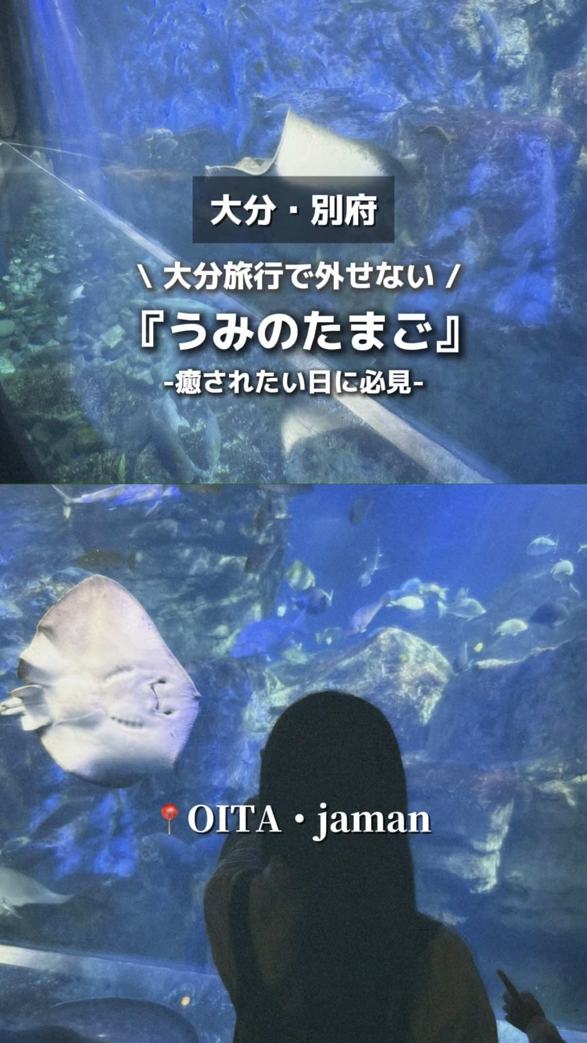 @ããããªð°ðŠ·ð¢ã倧éªã»å
šåœã°ã«ã¡ã