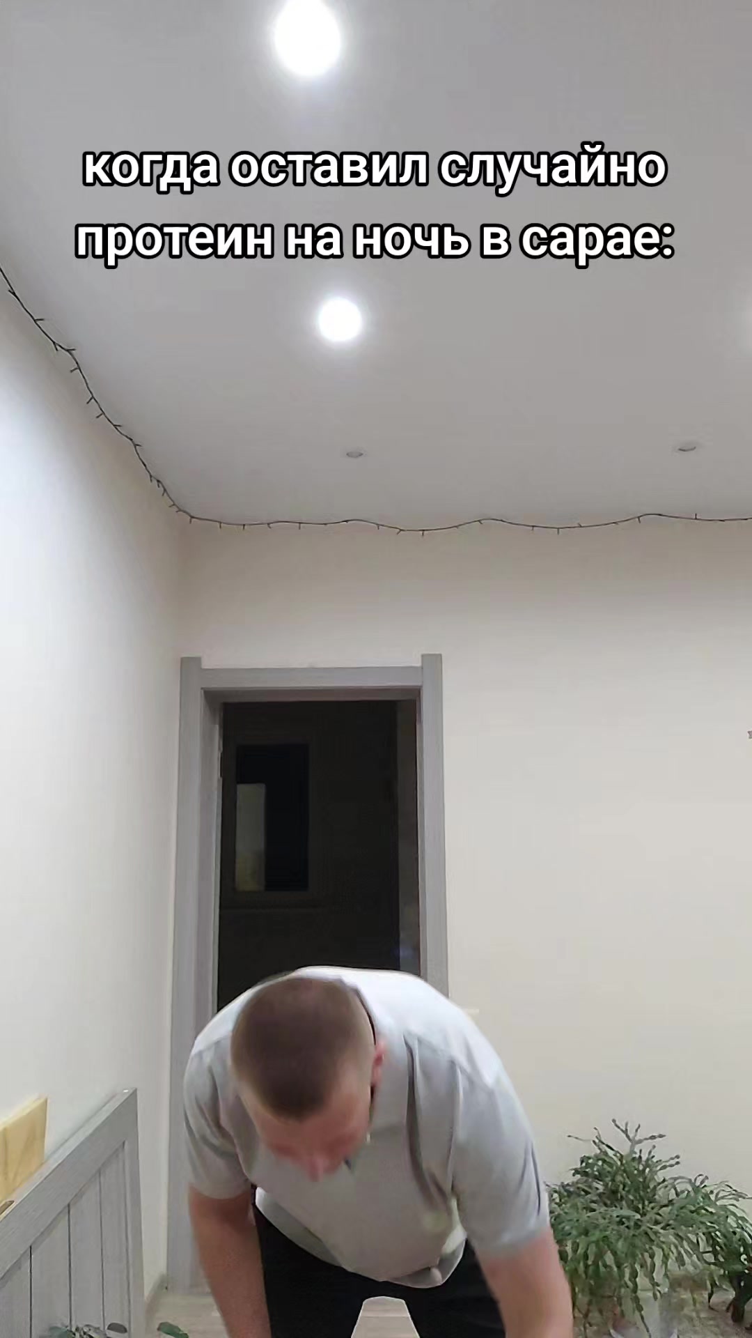 @Motamota