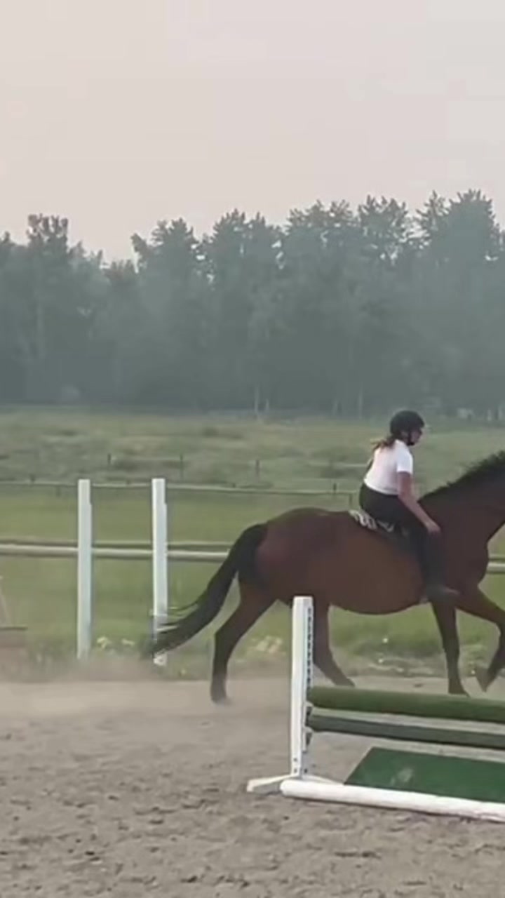 @Kaya_Equine _Molly
