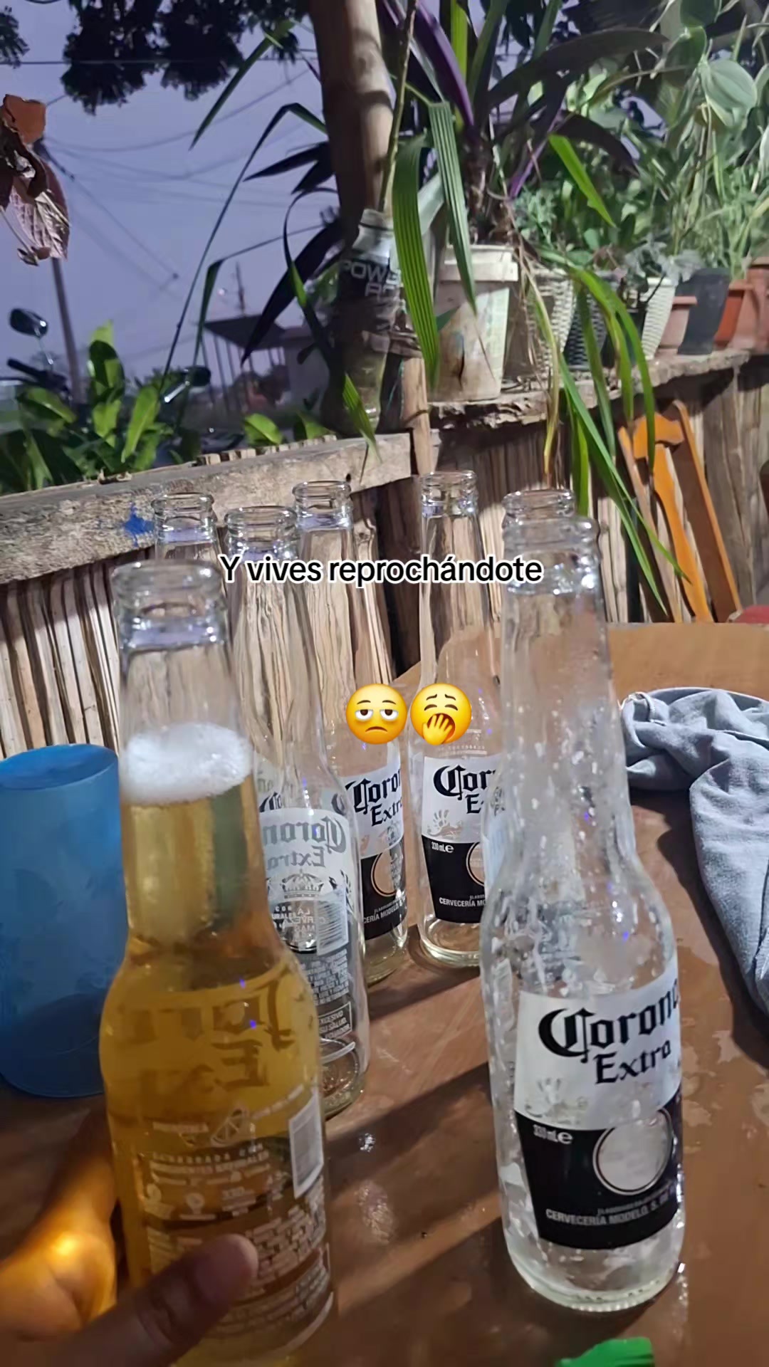 @Nallelhy🦋