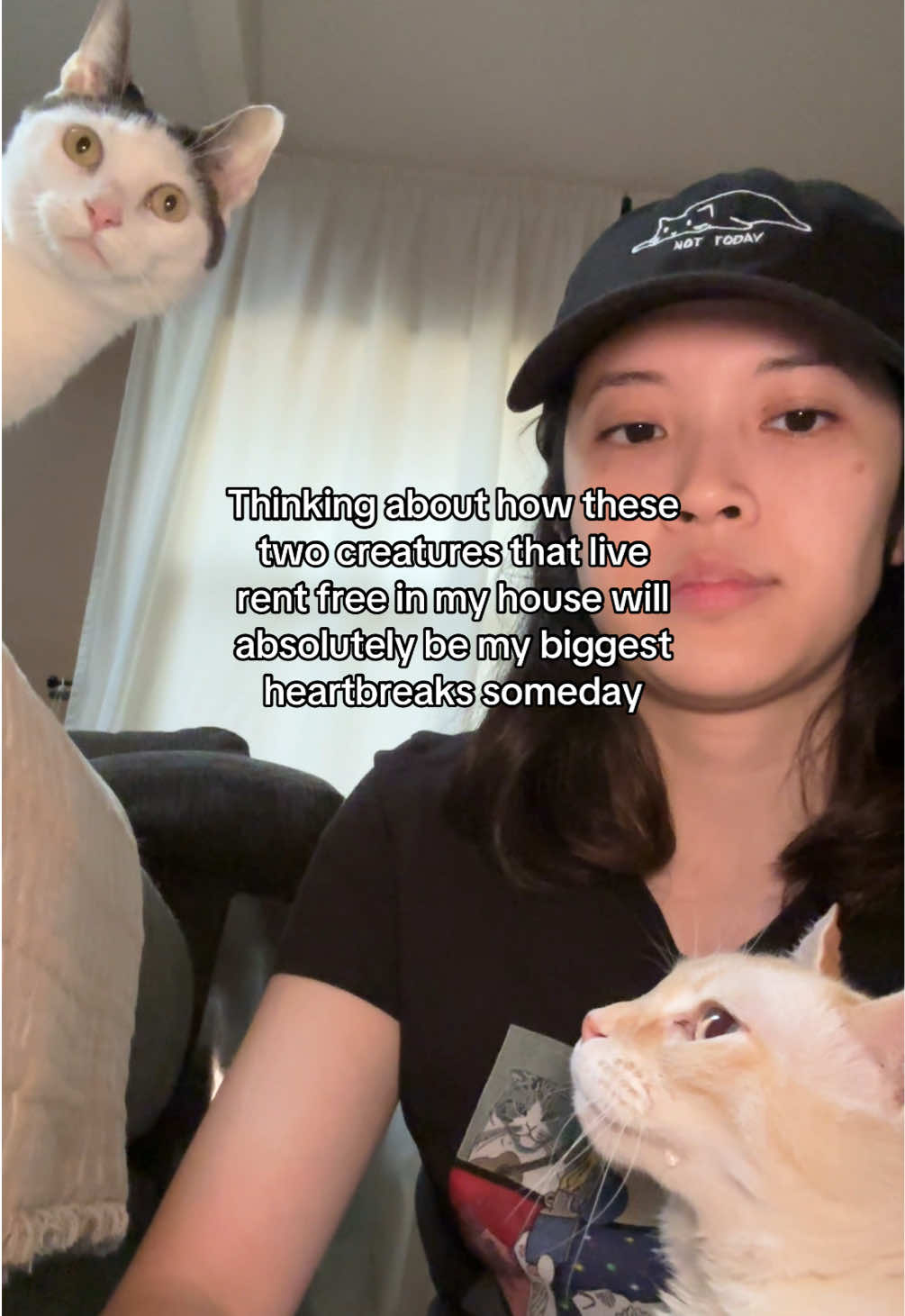 @Angel the Cat Mom