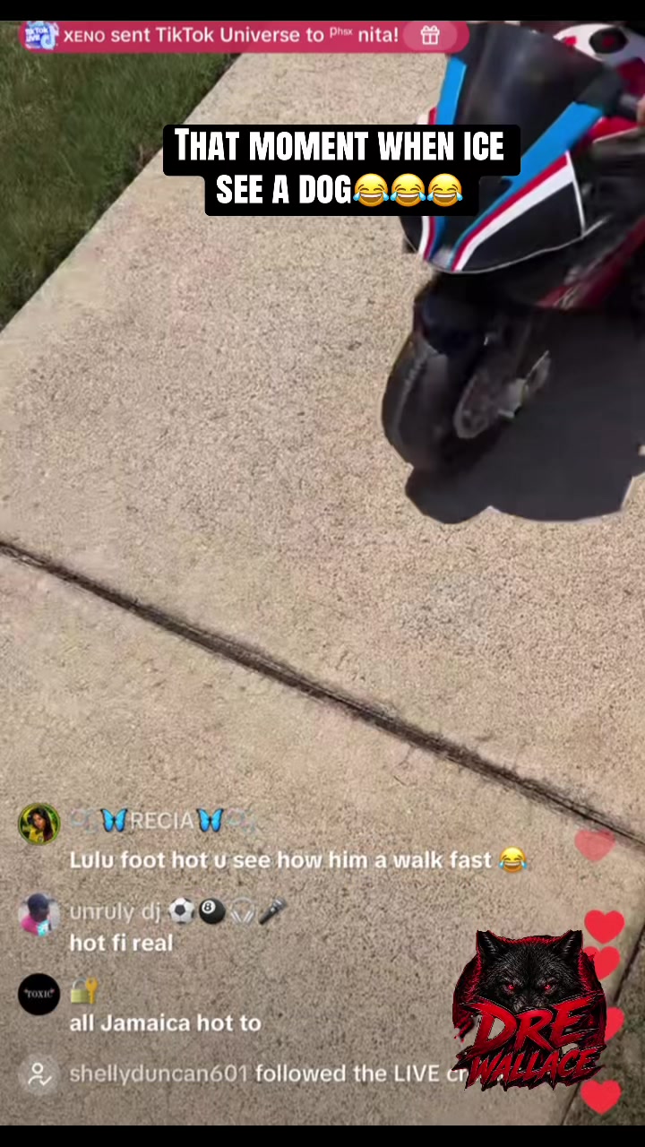 @๐ฟ๐๐Dre Wallace๐๐๐ฟ