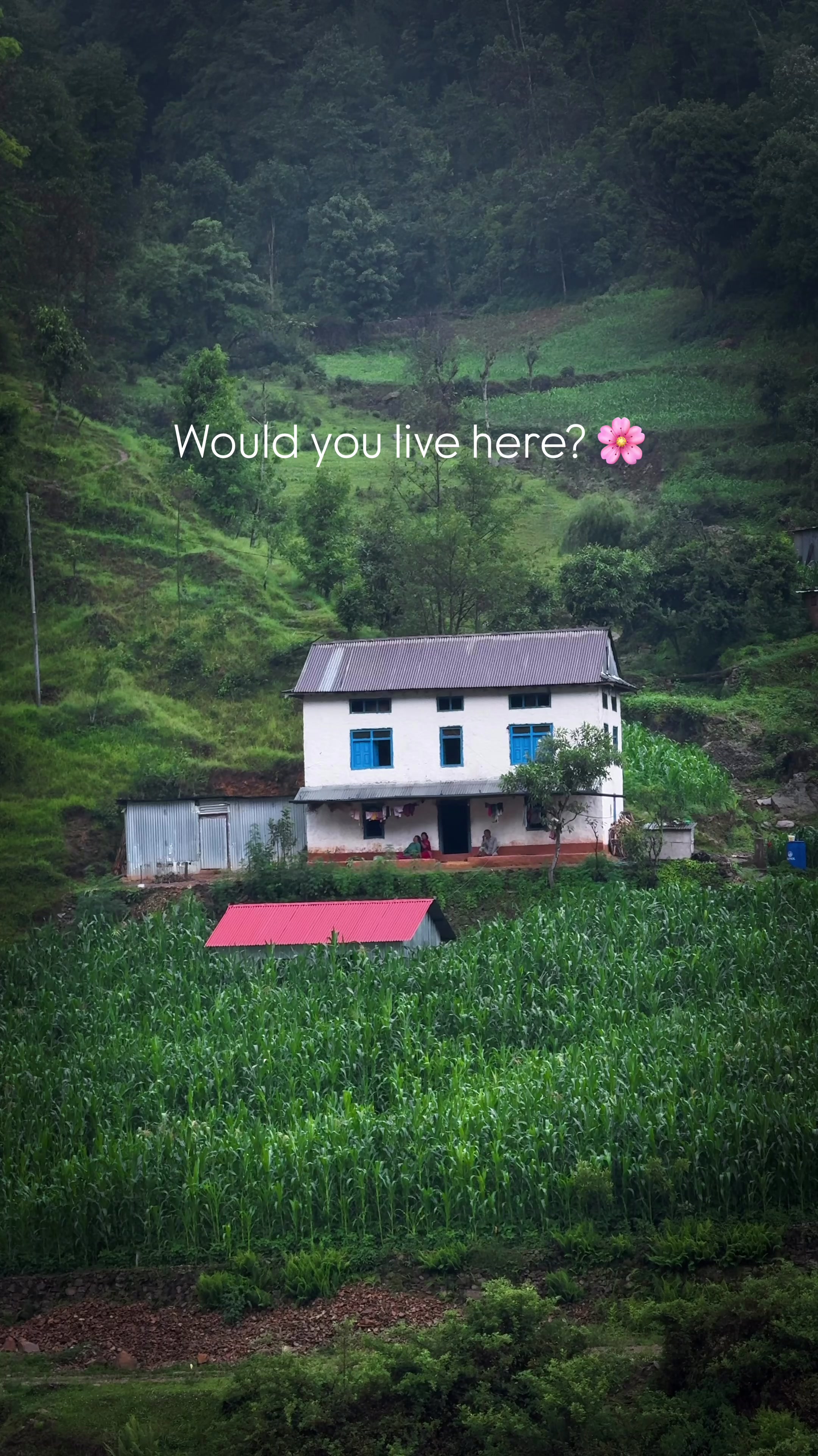 @Sudarshan Neupane
