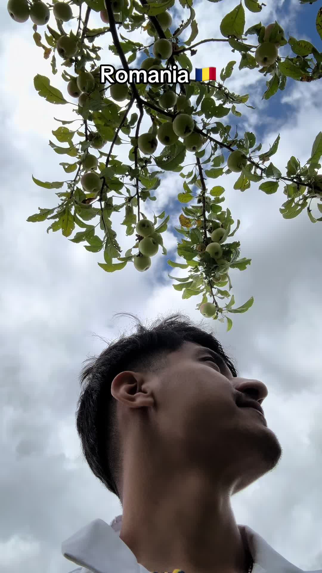 @Sammy Xettri