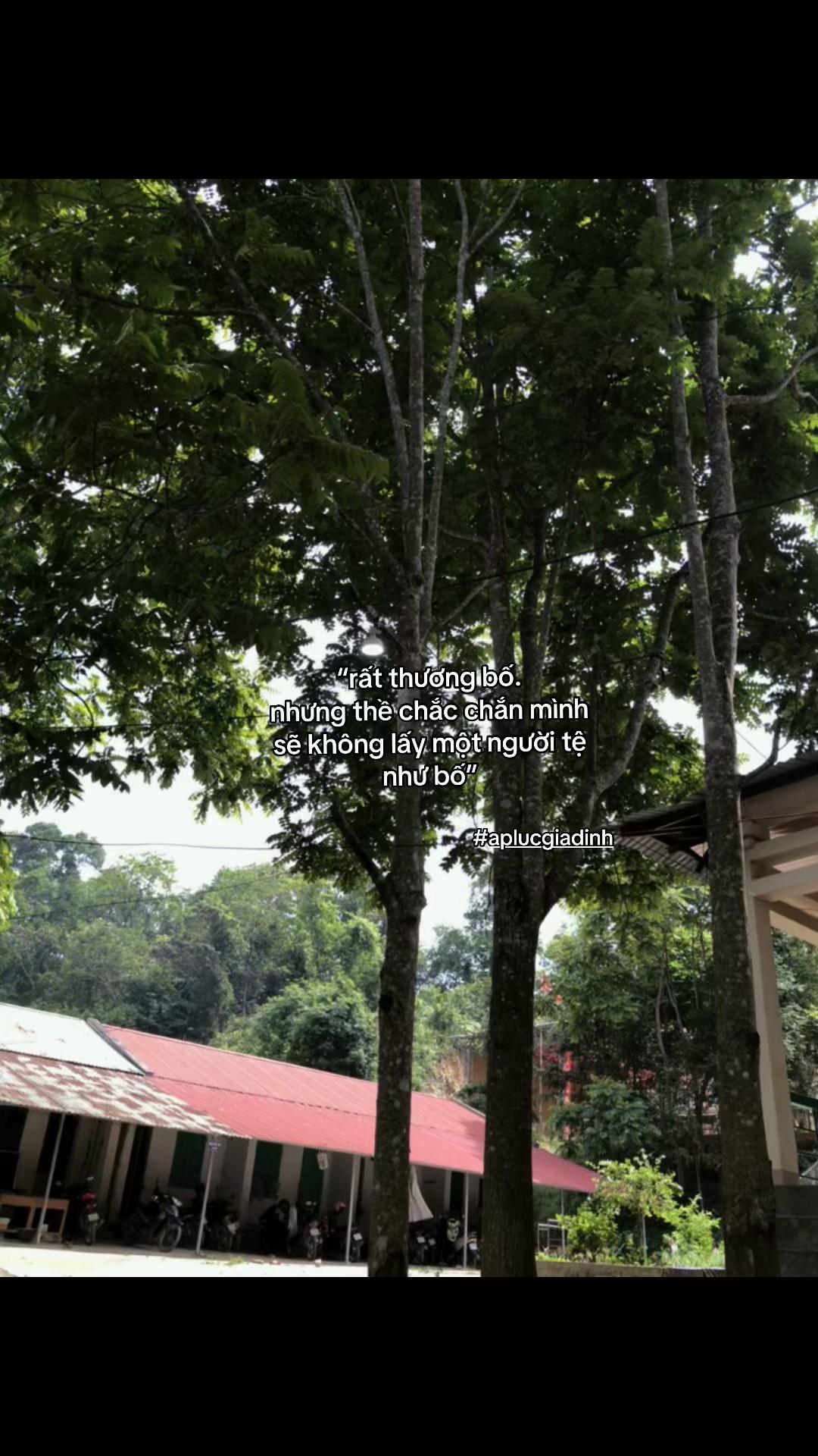 @cảm x&uacute;c
