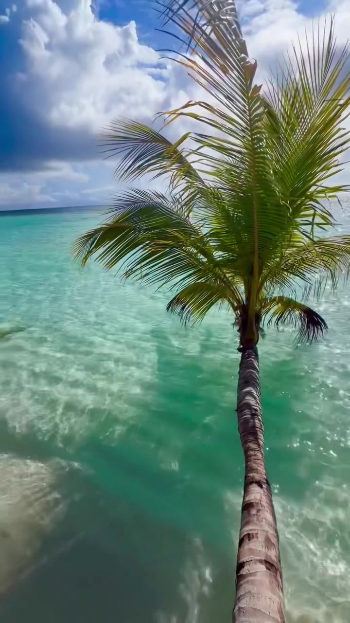 @indian_ocean🧿