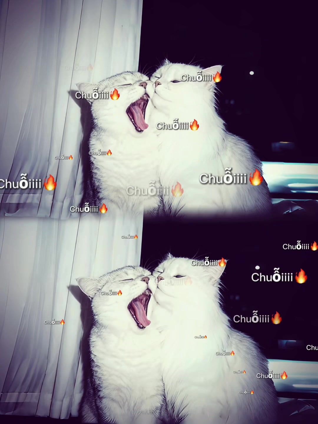 @𝓵