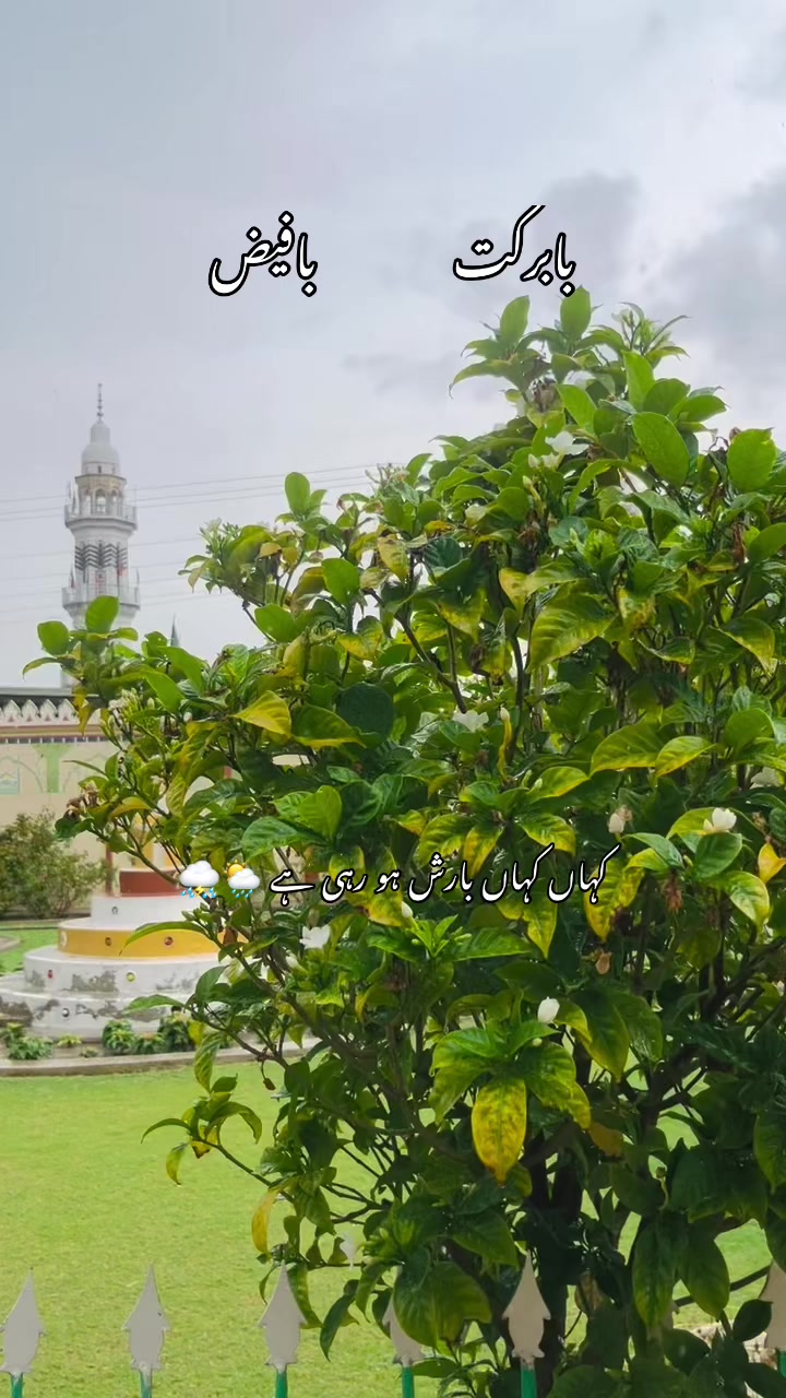@🍂🌾 پنجابی کلچر 🌾🍂