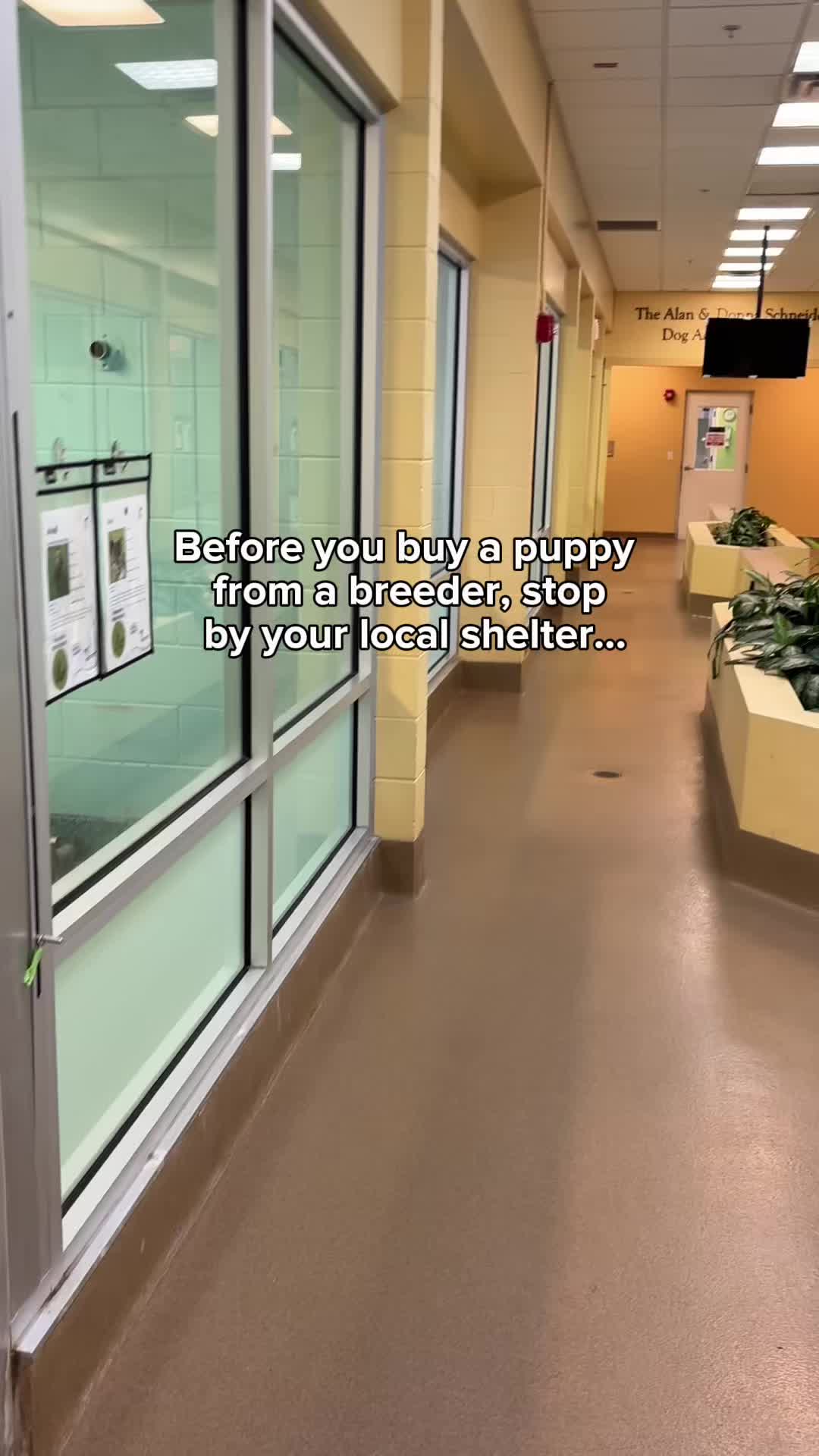 @pbhsnaples