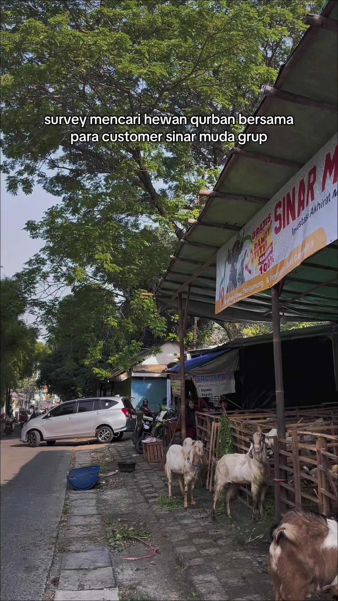 @sinar muda grup