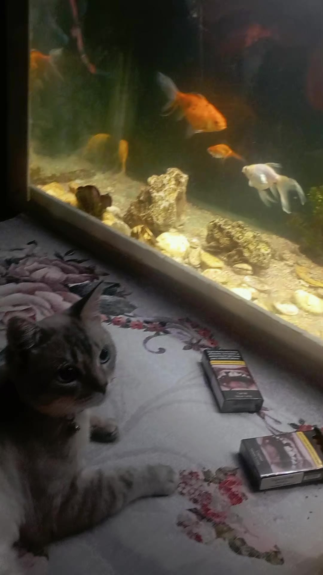 @çamur
