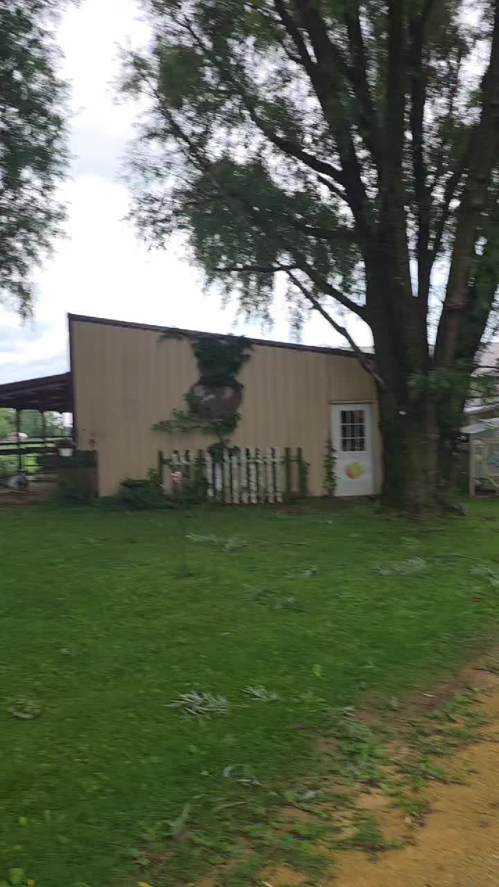 @HarmonyHillFarmSanct