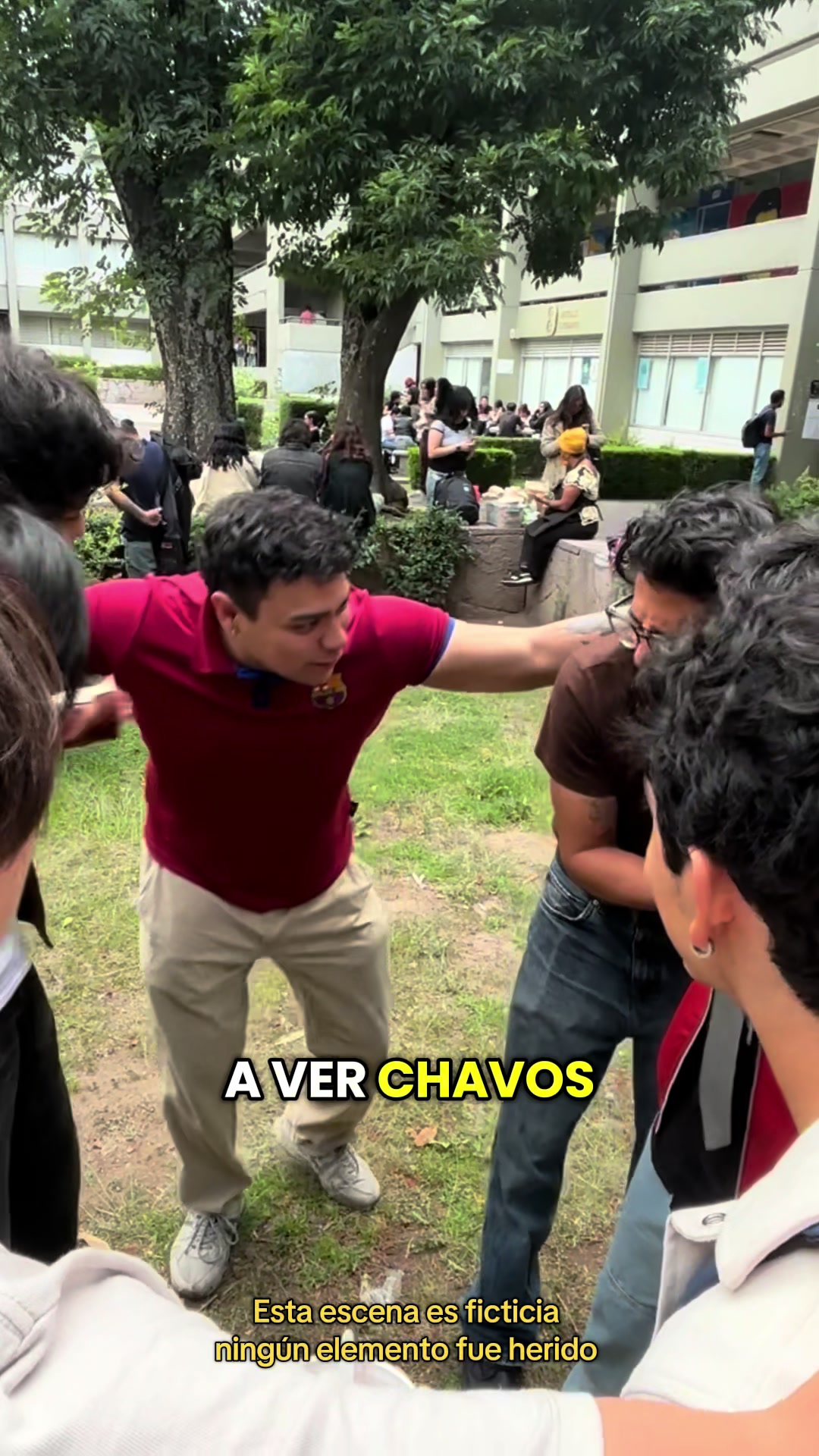 @El consejo