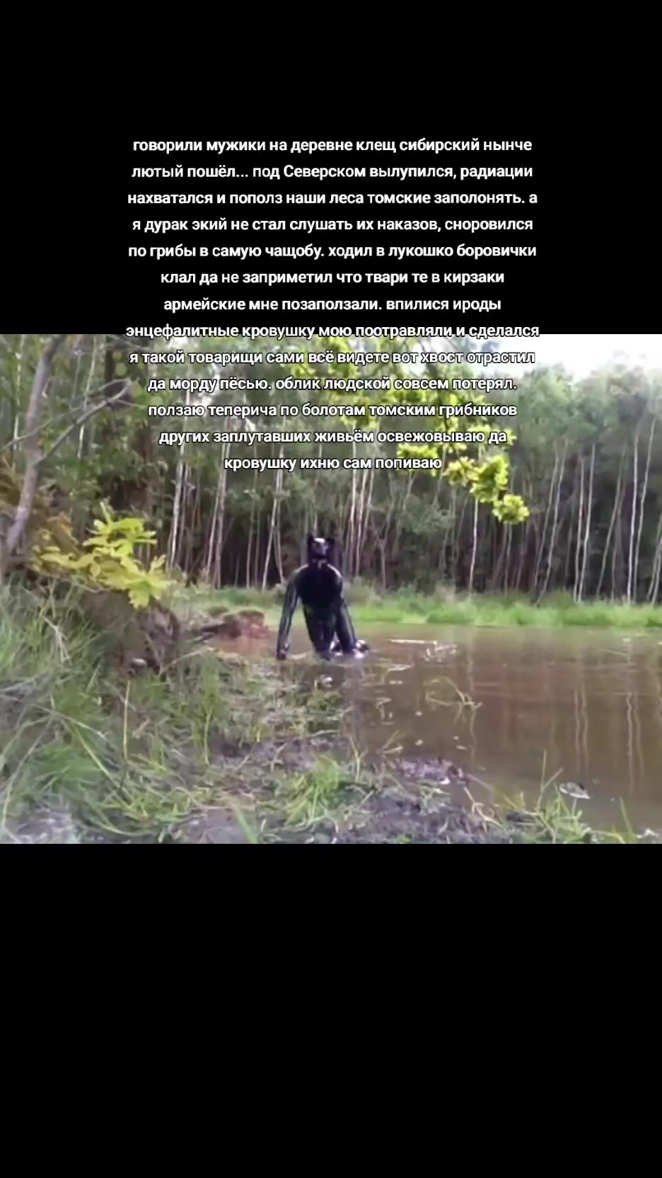 @пария