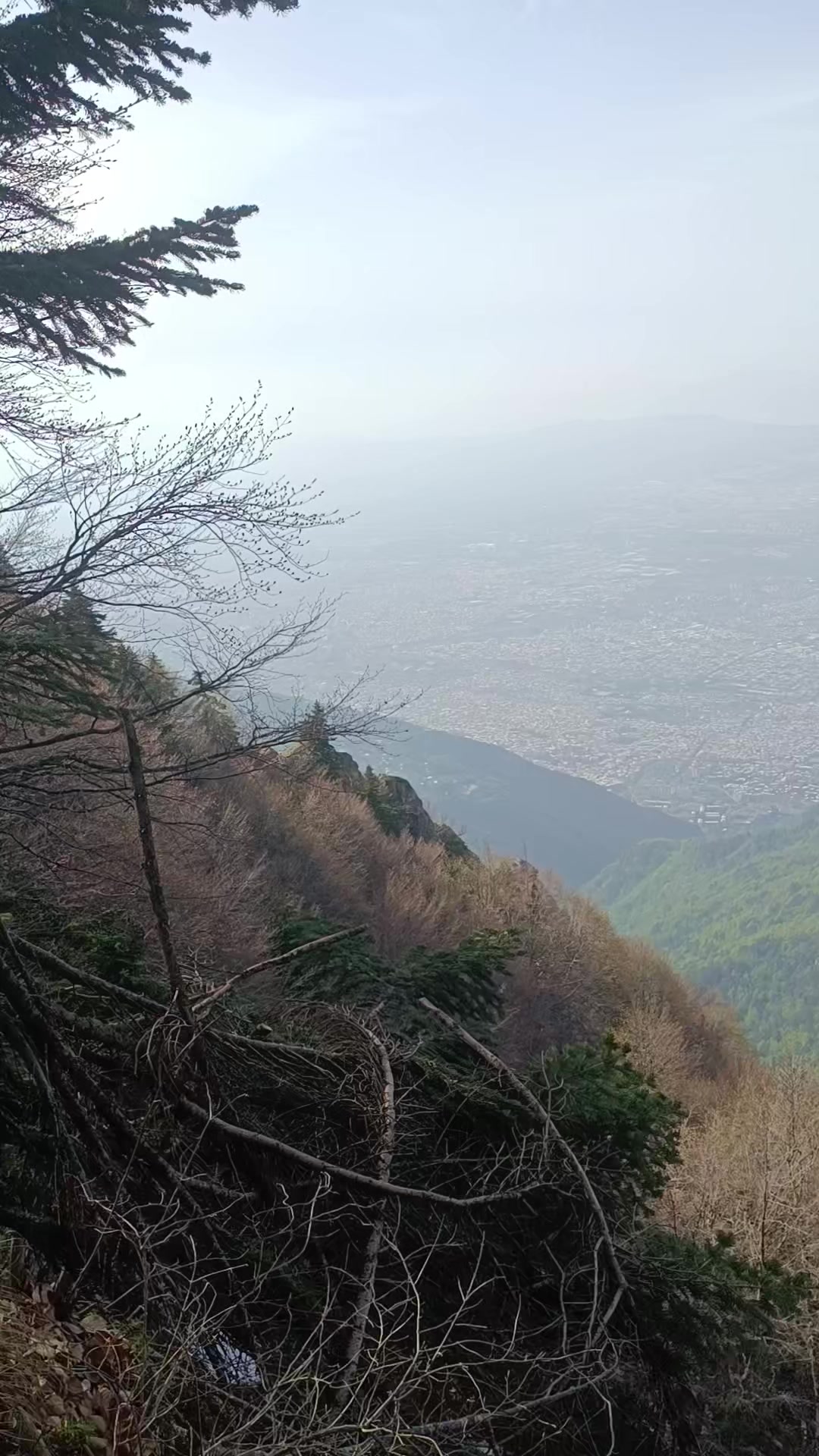 @Sarı