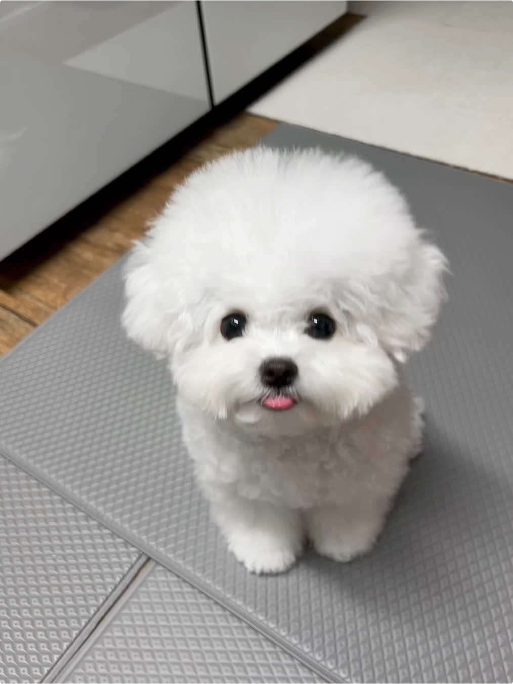 @메리하리
