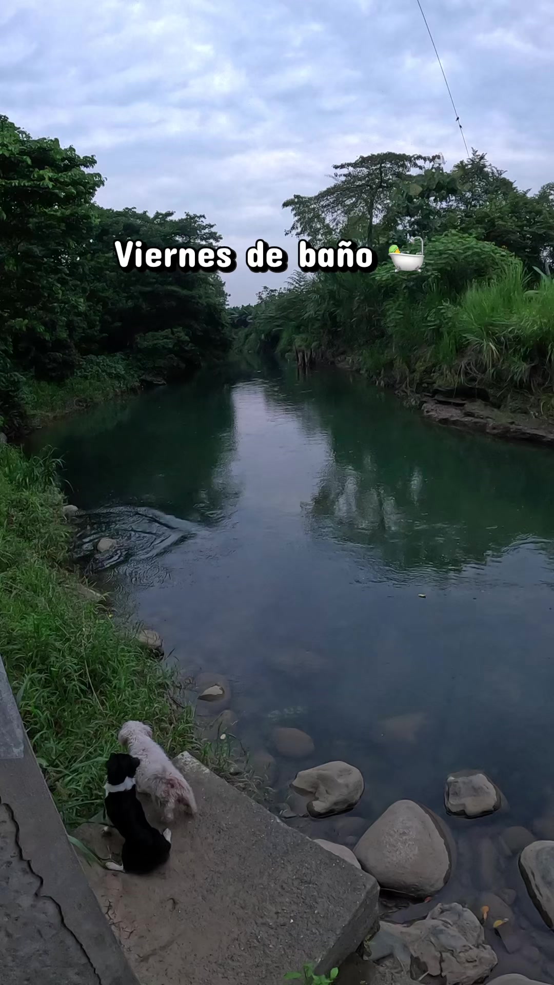 @1994.10.01.0