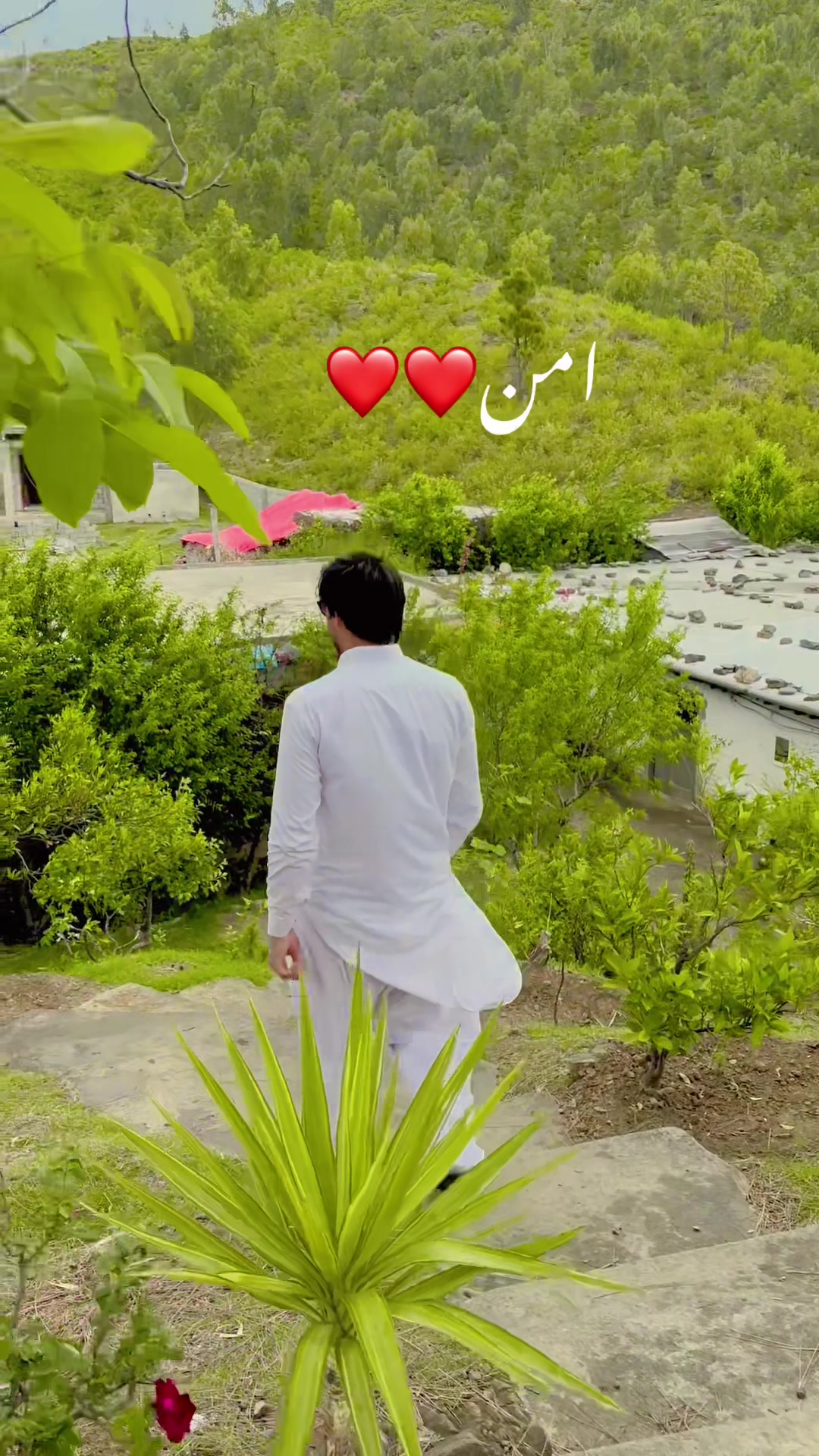 @فیصل خان
