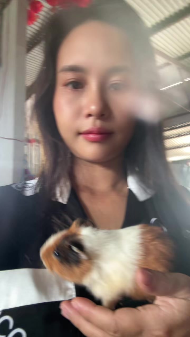 @Đinh Hương