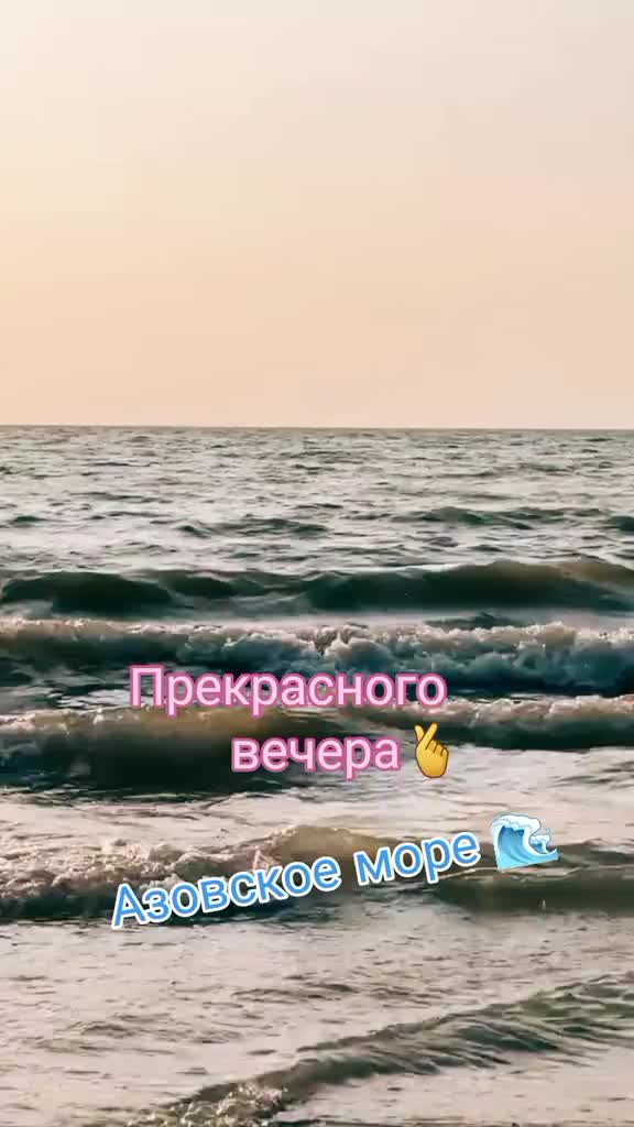 @ELENA😉