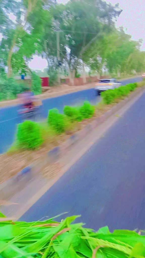 @MazharAli Bhatti 295