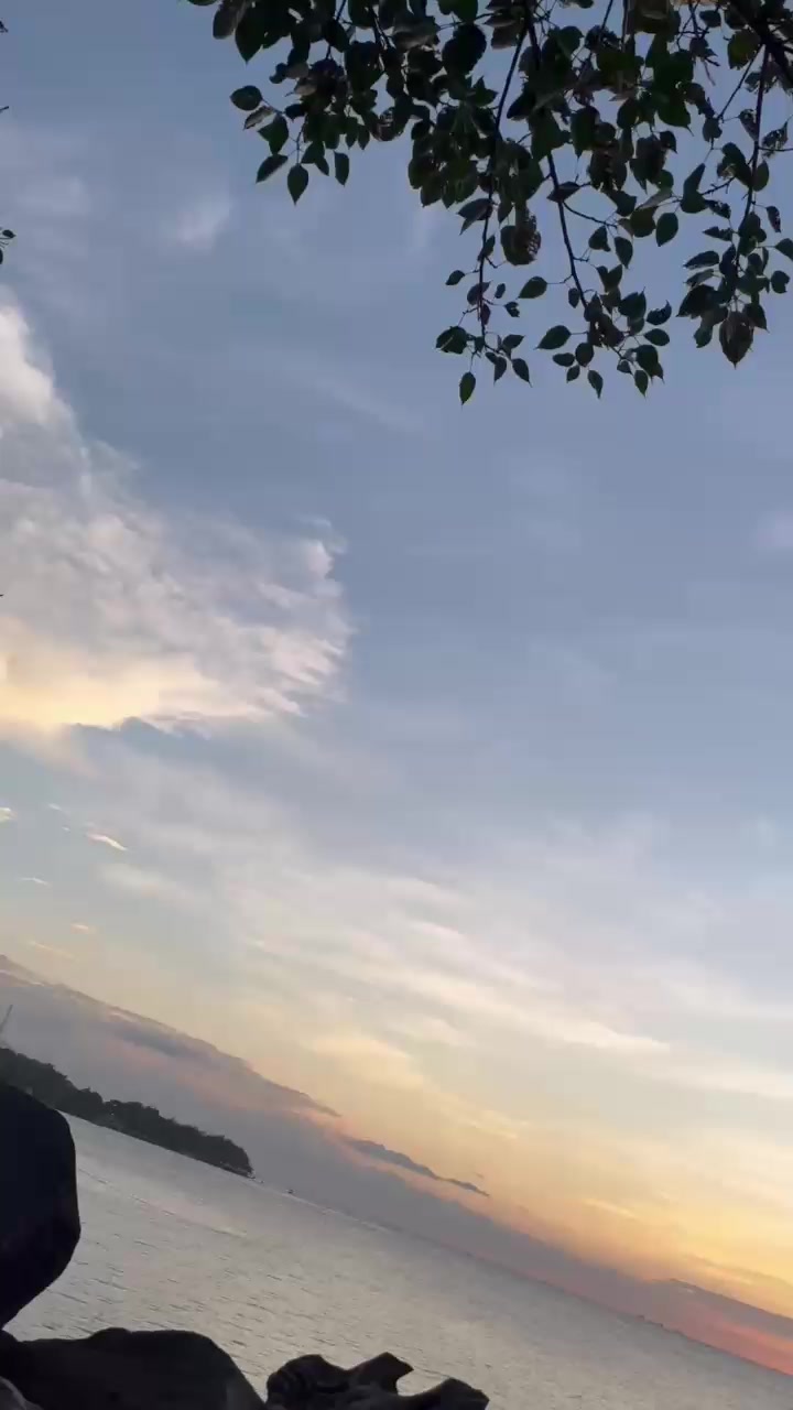 @Tania🕊