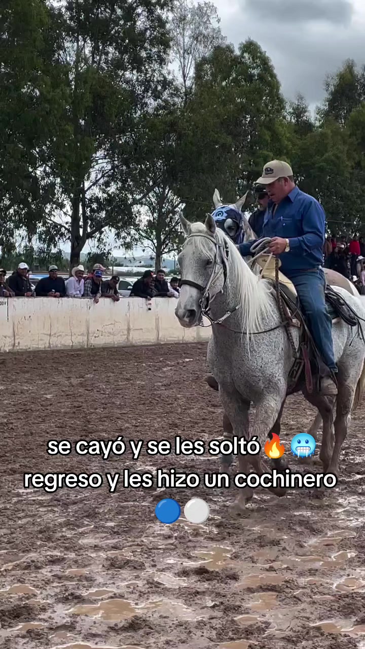 @carriles altos de jalisco🐎