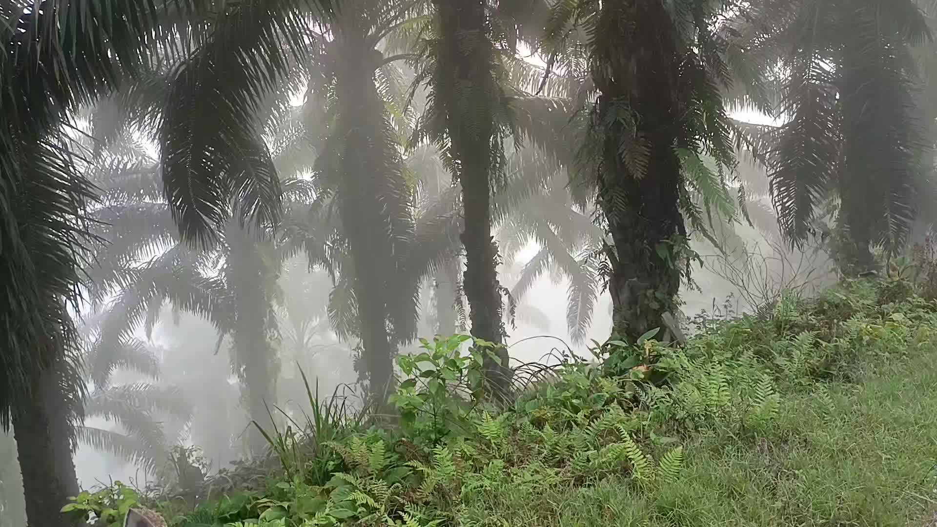 @27℅