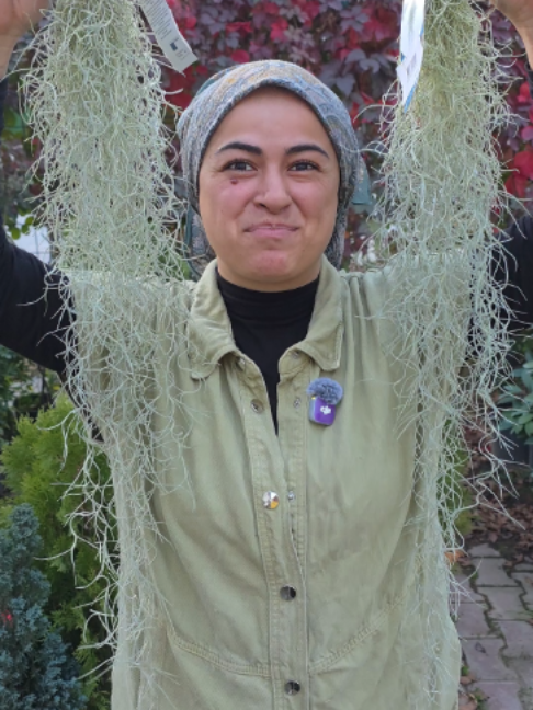 @Botanik bahçesi flora