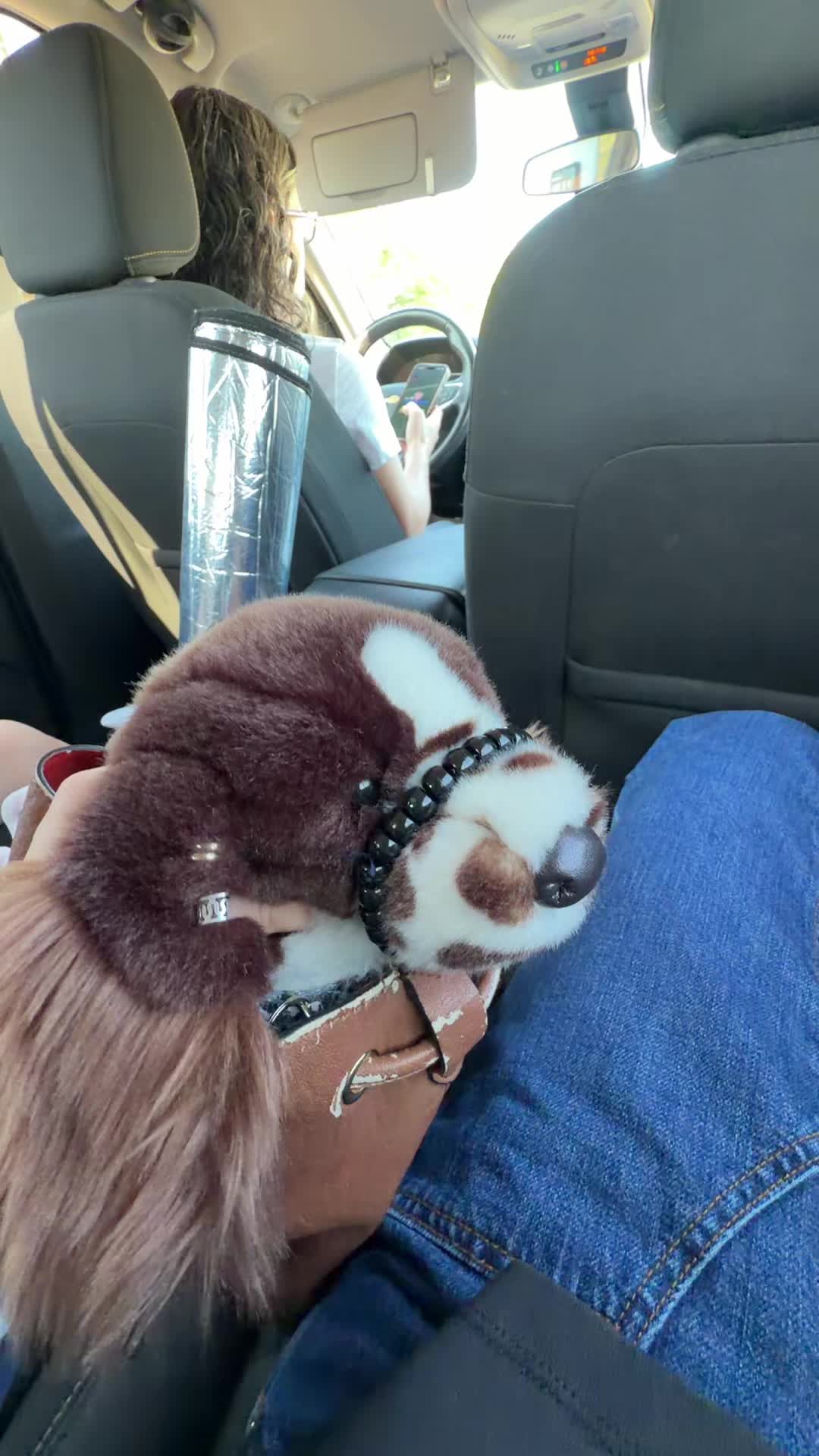 @pupplace