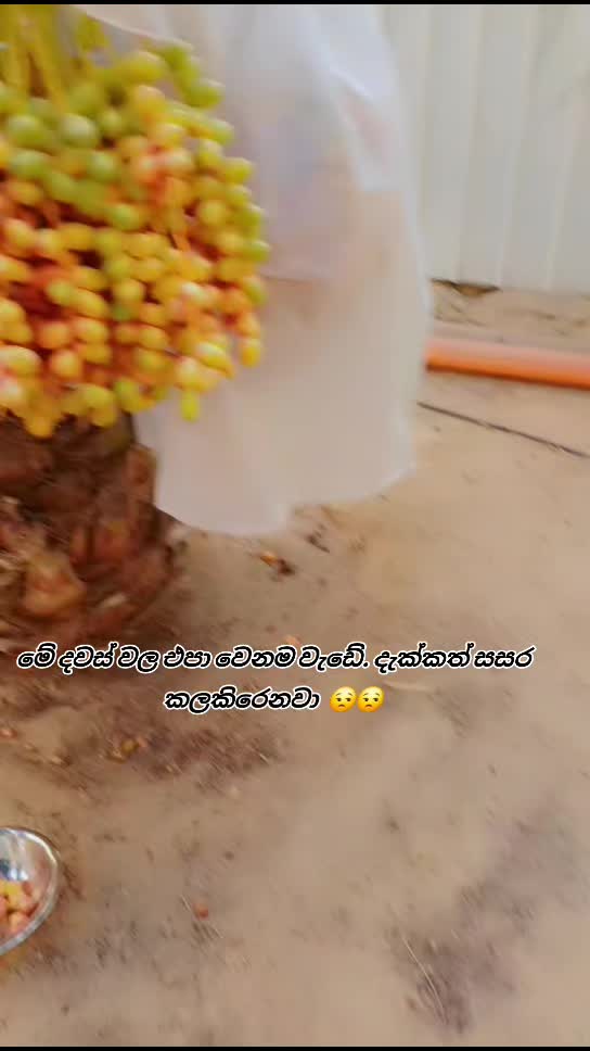 @꧁💓🌸 සිතු✾𝄟͜ 🌸💓 සිතු✾𝄟͜ ꧂
