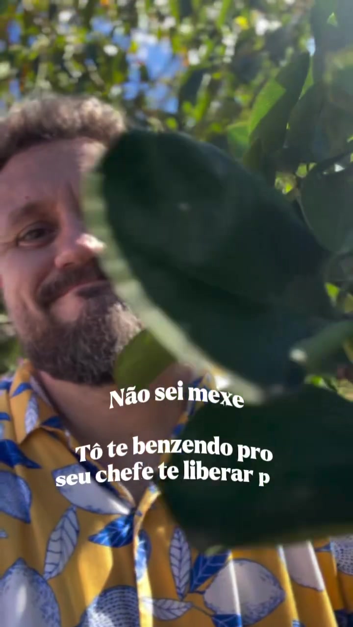 @temnolimao