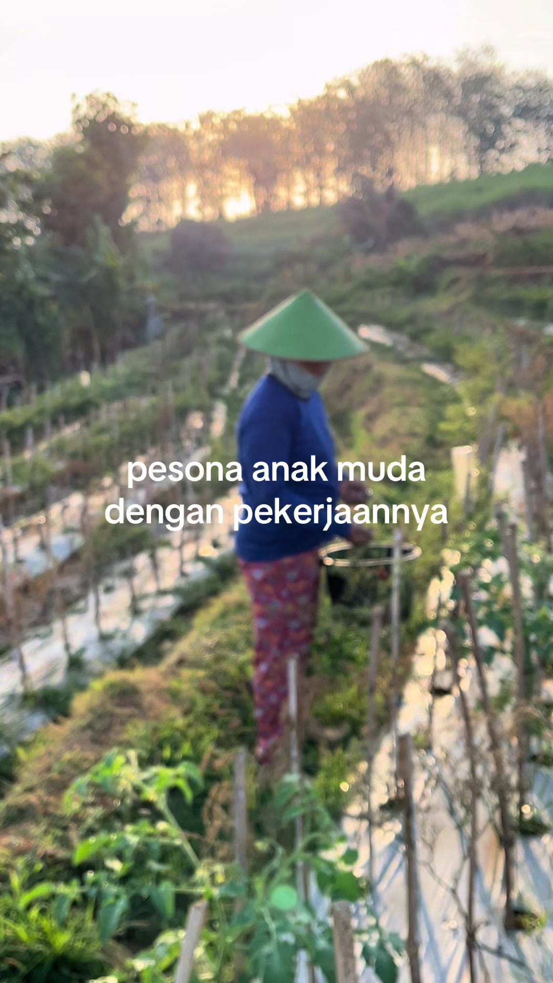 @🐻
