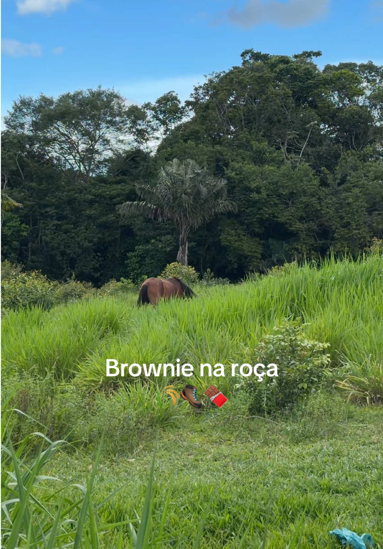 @Eloiza Andrade