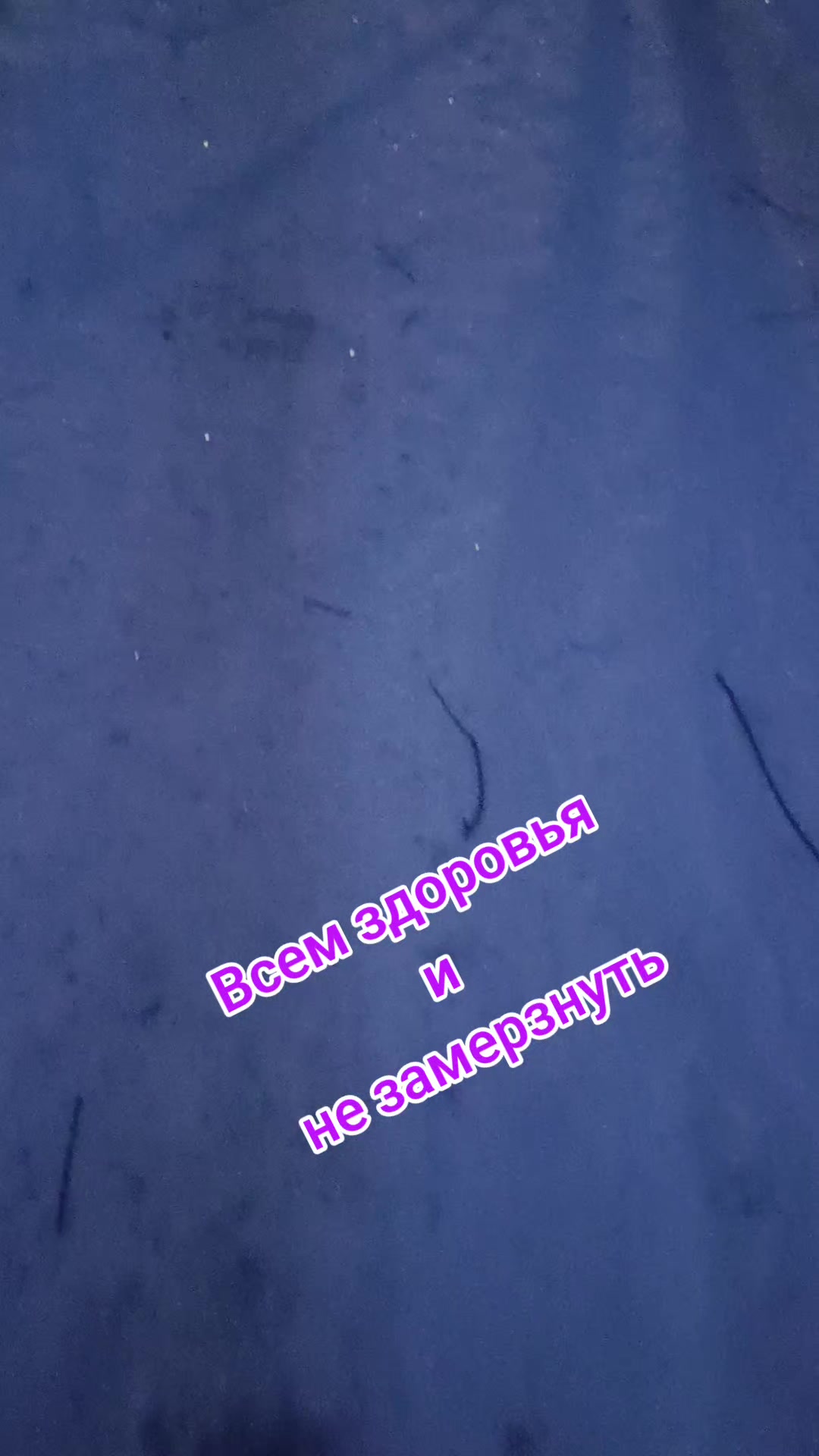 @⚜️βυΚγλЬKa❄️