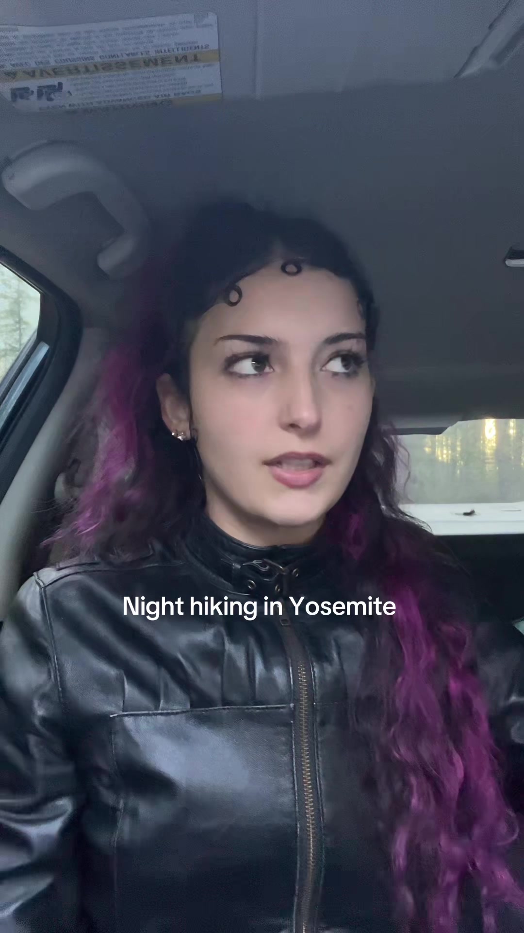 @🌲