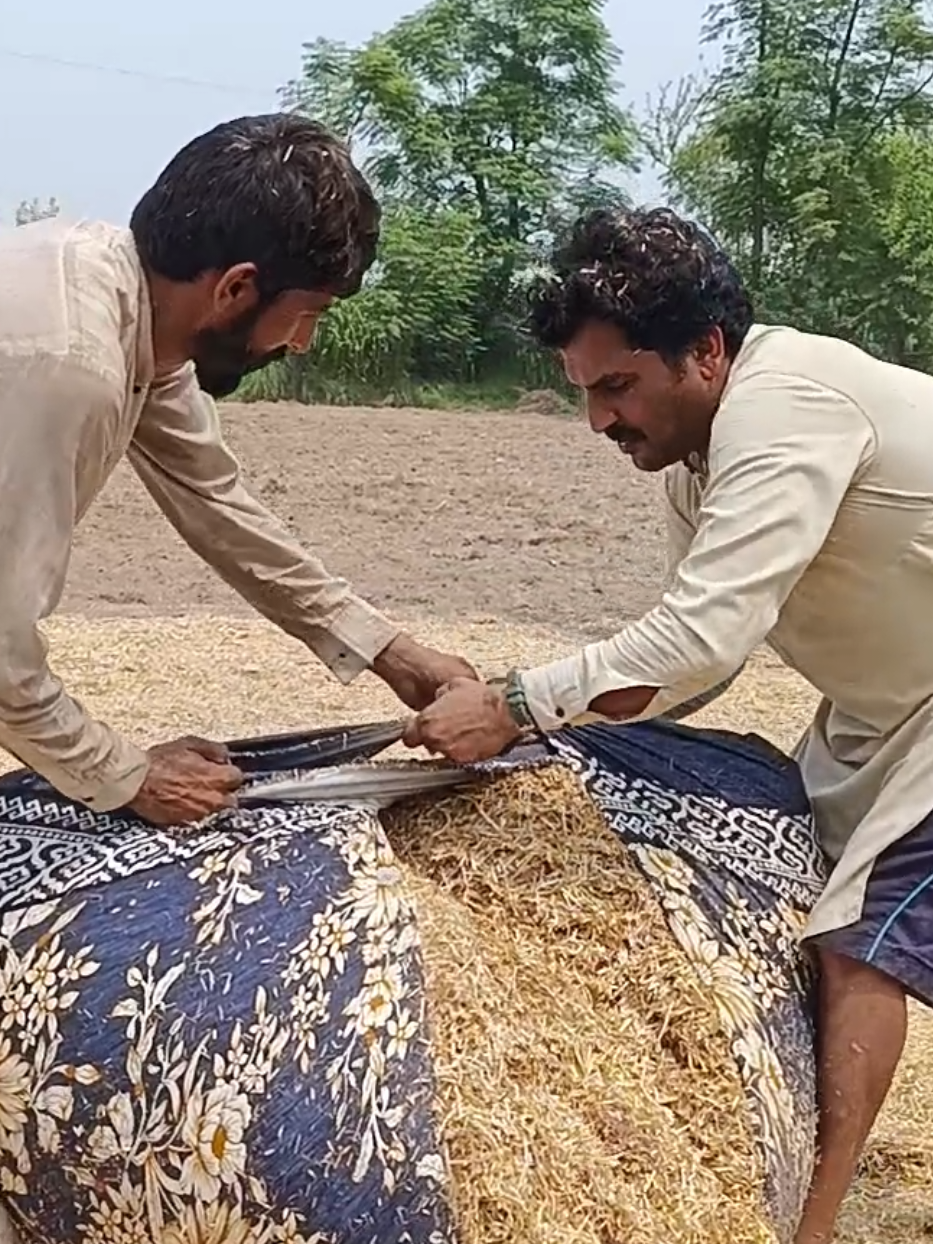 @fakhar mahmood fakhari