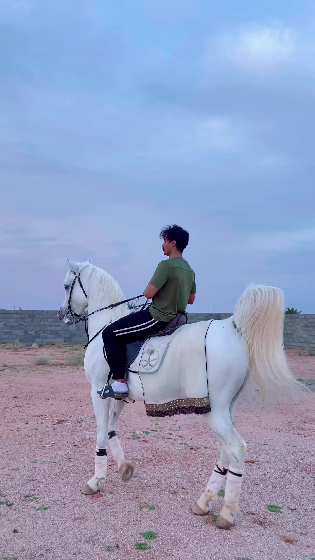 @عامر الشمري🐎
