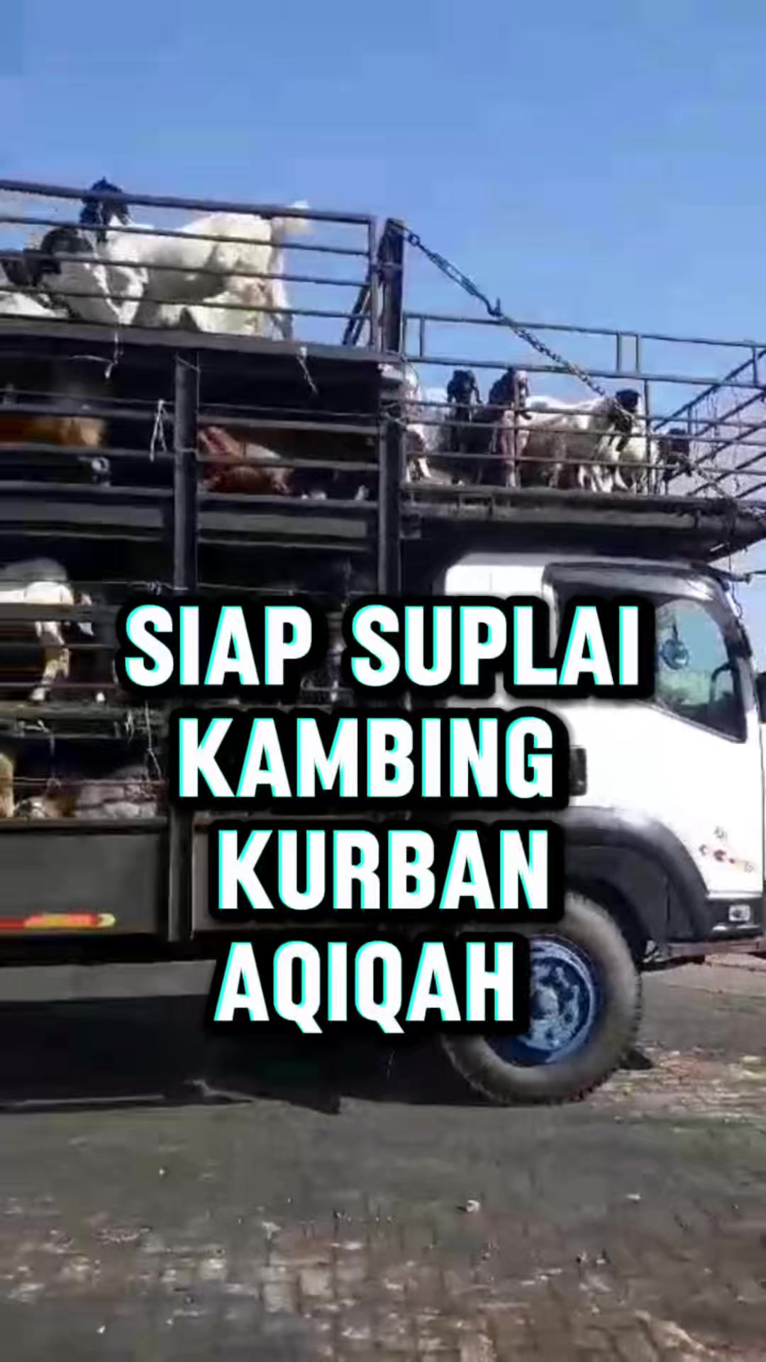 @Ayam Madu