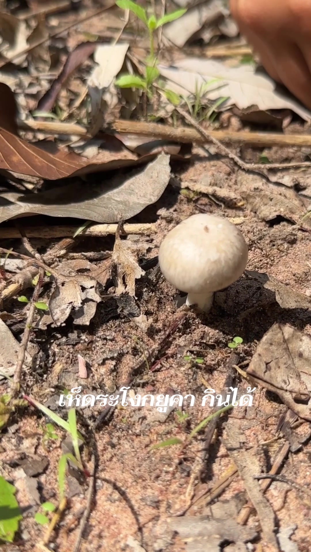 @เกษตรกรรม บูรณาการ