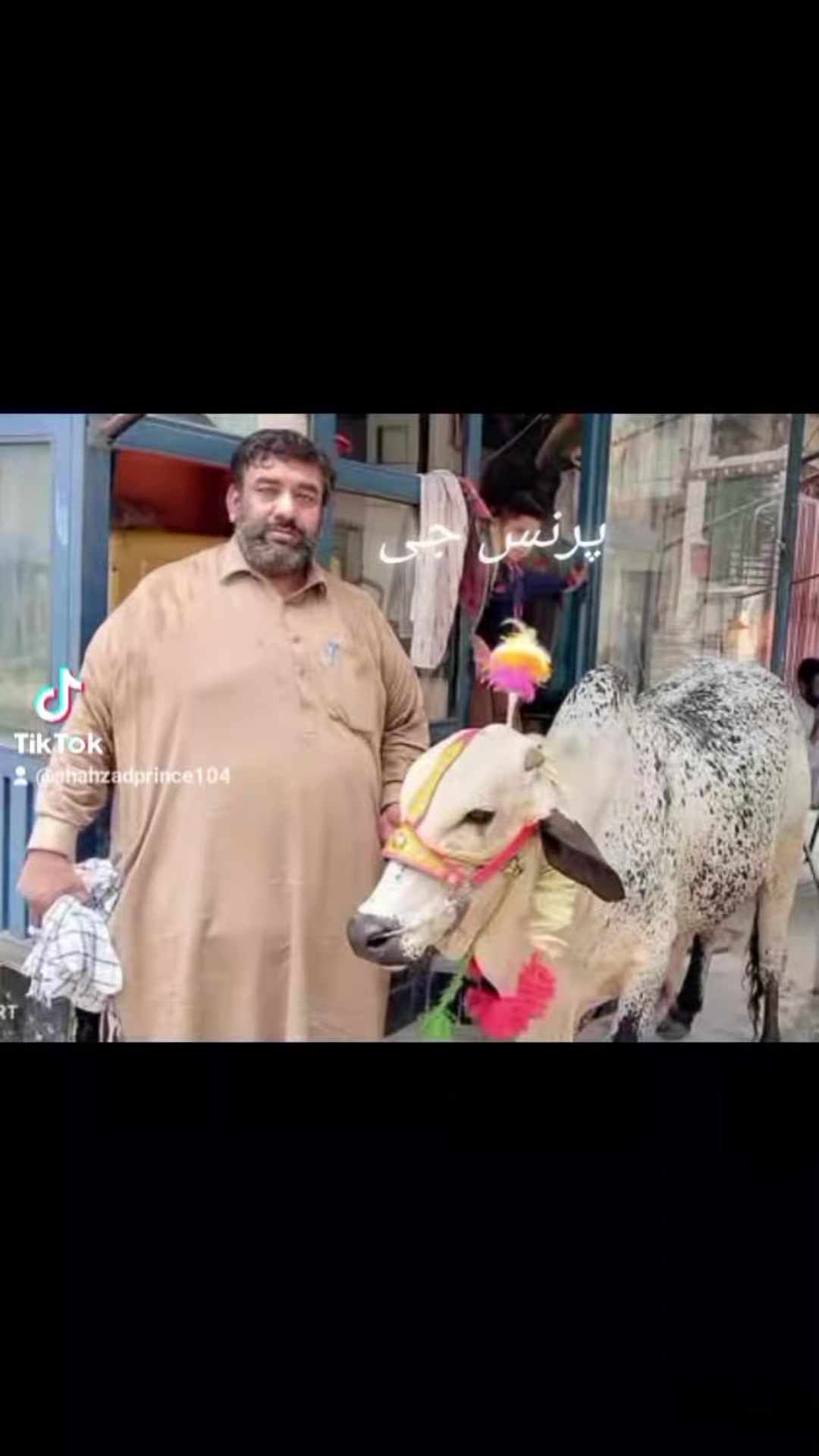 @پرنس جی