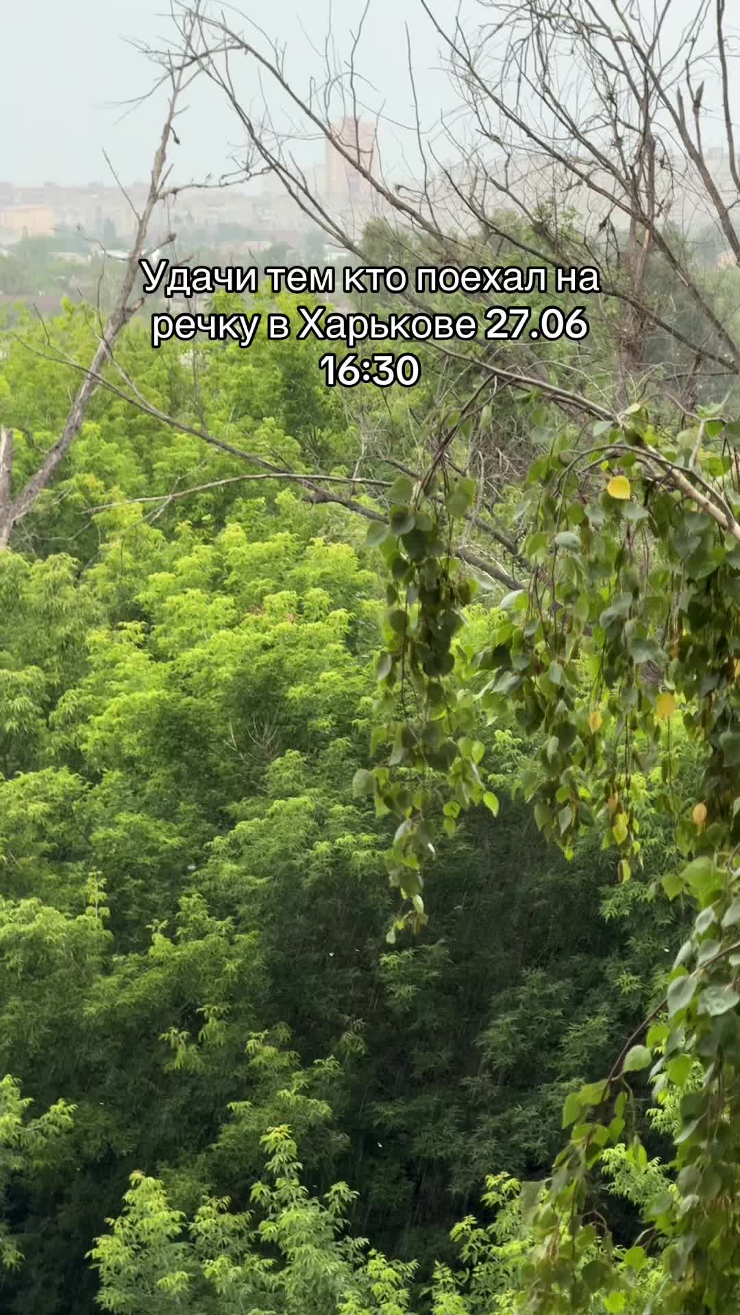 @Давид Гарибян