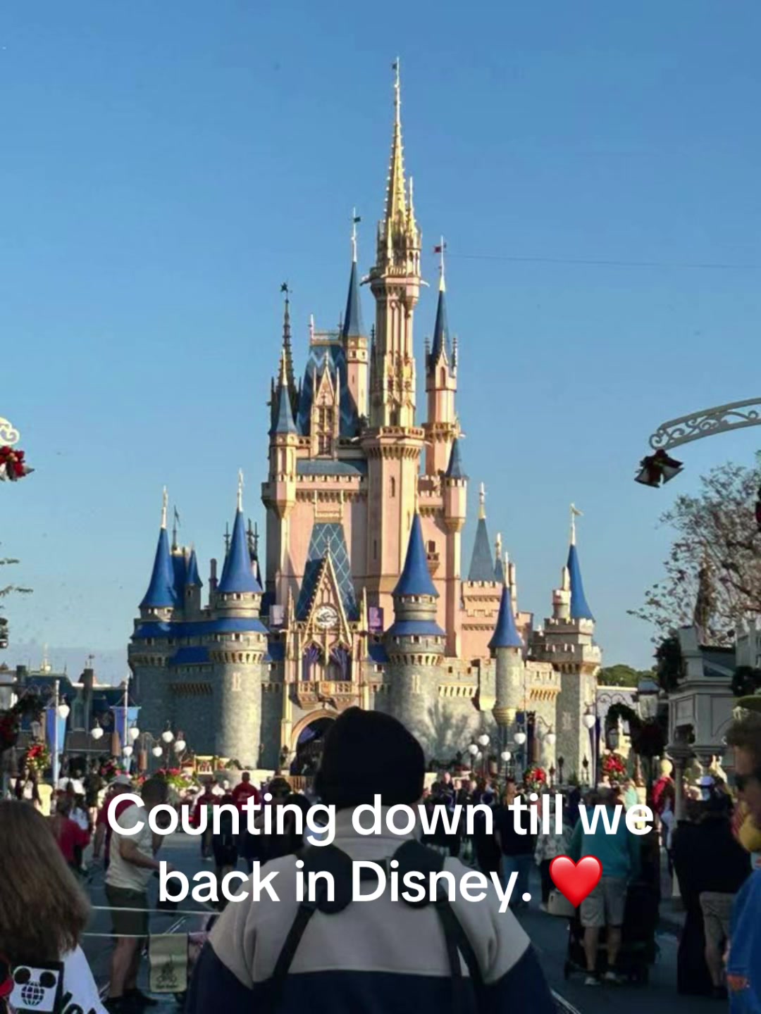 @MagicalMerryReads🏰🎄📚