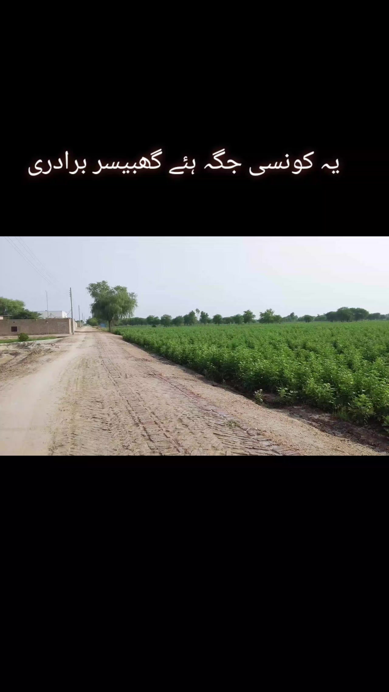 @مہر آصف گھبیسر وہاڑی