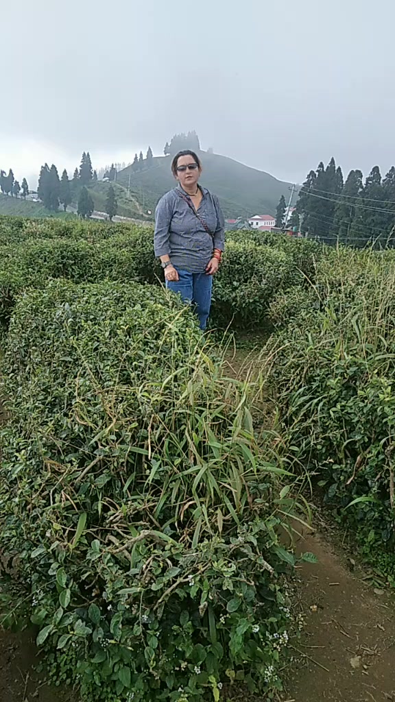 @(माइली)Sita
